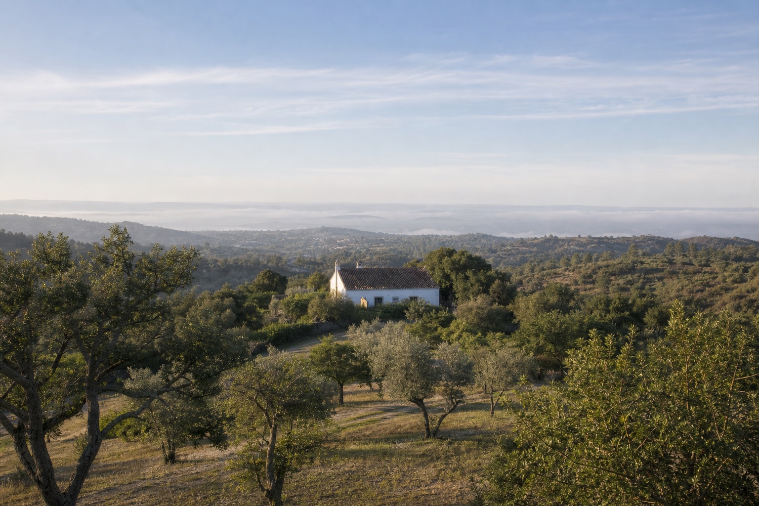 A quiet Algarve landscape beneath a soft morning sky